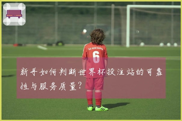 新手如何判断世界杯投注站的可靠性与服务质量？