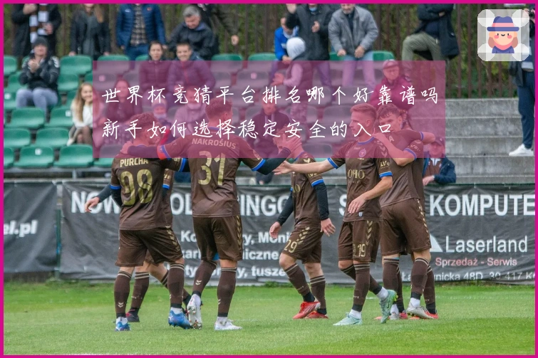 世界杯竞猜平台排名哪个好靠谱吗新手如何选择稳定安全的入口